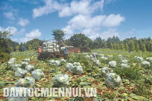 ១០០% ខ្សែផ្លូវអន្តរភូមិនៅឃុំ ធន់ហាញ់ បាននិងកំពុងតែបានចាក់បេតុងយ៉ាងរឹងមាំ រដូវកាលប្រមូលផលស្ពៃក្តោបនៅភូមិ ធន់ទ្រុង ឃុំ ធន់ហាញ់ កសិករភូមិ ធន់លើយ ឃុំ ធន់ហាញ់ ថែទាំដំណាំកាហ្វេ ១០០% ខ្សែផ្លូវអន្តរភូមិនៅឃុំ ធន់ហាញ់ បាននិងកំពុងតែបានចាក់បេតុងយ៉ាងរឹងមាំ រដូវកាលប្រមូលផលស្ពៃក្តោបនៅភូមិ ធន់ទ្រុង ឃុំ ធន់ហាញ់ កសិករភូមិ ធន់លើយ ឃុំ ធន់ហាញ់ ថែទាំដំណាំកាហ្វេ