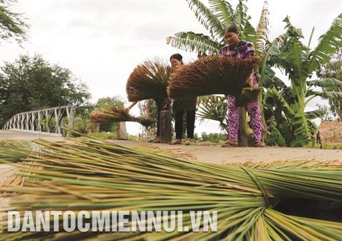 បន្ទាប់ពីបានច្រូតកាត់ពីបណ្តាស្រែលិចទឹកប្រៃ ចចូតត្រូវបានដឹកជញ្ជូនដោយទូកទៅកាន់បណ្តាសិប្បកម្មផលិតចេញជាផលិតផលប្រើប្រាស់ប្រចាំថ្ងៃនិងផលិតផល វិចិត្រសិល្បៈពីដើមចចូតនៅឃុំ ភូ - មី ដំណាក់កាលហាលសម្ងួតចចូត ផលិតផលដែលធ្វើពីដើមចចូតភាគច្រើនគឺកន្ទេលក្រហម កន្ទេលចចូត ធ្នើរដាក់អីវ៉ាន់ កាបូប មួក។ល។ ការកៀបច្រៀកចចូតជាសរសៃស្តើង