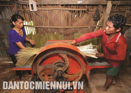 បន្ទាប់ពីបានច្រូតកាត់ពីបណ្តាស្រែលិចទឹកប្រៃ ចចូតត្រូវបានដឹកជញ្ជូនដោយទូកទៅកាន់បណ្តាសិប្បកម្មផលិតចេញជាផលិតផលប្រើប្រាស់ប្រចាំថ្ងៃនិងផលិតផល វិចិត្រសិល្បៈពីដើមចចូតនៅឃុំ ភូ - មី ដំណាក់កាលហាលសម្ងួតចចូត ផលិតផលដែលធ្វើពីដើមចចូតភាគច្រើនគឺកន្ទេលក្រហម កន្ទេលចចូត ធ្នើរដាក់អីវ៉ាន់ កាបូប មួក។ល។ ការកៀបច្រៀកចចូតជាសរសៃស្តើង