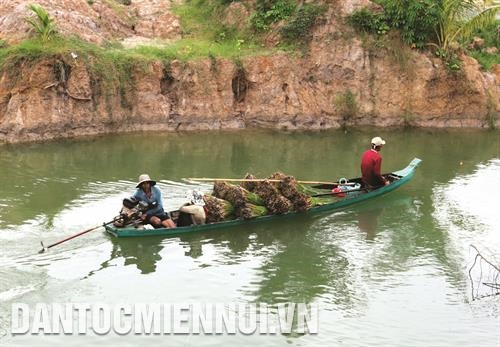 បន្ទាប់ពីបានច្រូតកាត់ពីបណ្តាស្រែលិចទឹកប្រៃ ចចូតត្រូវបានដឹកជញ្ជូនដោយទូកទៅកាន់បណ្តាសិប្បកម្មផលិតចេញជាផលិតផលប្រើប្រាស់ប្រចាំថ្ងៃនិងផលិតផល វិចិត្រសិល្បៈពីដើមចចូតនៅឃុំ ភូ - មី ដំណាក់កាលហាលសម្ងួតចចូត ផលិតផលដែលធ្វើពីដើមចចូតភាគច្រើនគឺកន្ទេលក្រហម កន្ទេលចចូត ធ្នើរដាក់អីវ៉ាន់ កាបូប មួក។ល។ ការកៀបច្រៀកចចូតជាសរសៃស្តើង