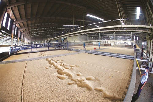 មណ្ឌលសម្ងួតស្រូវរបស់ក្រុមហ៊ុនទទួលខុសត្រូវមានកំរិត ថាញ់ទីន ដែលជាអាជីវកម្មមួយក្នុងចំណោមអាជីវកម្មមានកិត្យានុភាពក្នុងការផលិតបណ្ដាផលិតផលកសិកម្មរបស់ខេត្ត សុកត្រាំង មណ្ឌលសម្ងួតស្រូវរបស់ក្រុមហ៊ុនទទួលខុសត្រូវមានកំរិត ថាញ់ទីន ដែលជាអាជីវកម្មមួយក្នុងចំណោមអាជីវកម្មមានកិត្យានុភាពក្នុងការផលិតបណ្ដាផលិតផលកសិកម្មរបស់ខេត្ត សុកត្រាំង