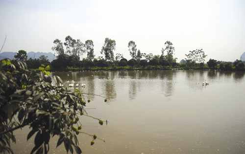 ឆ្លៀតប្រើប្រាស់នូវផ្ទៃទឹកស្រះដើម្បីព្រលែងបក្សីស្រុក ឆ្លៀតប្រើប្រាស់នូវផ្ទៃទឹកស្រះដើម្បីព្រលែងបក្សីស្រុក