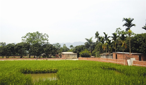 របងការពារចំការអាចជាដើមរុក្ខជាតិ សំណាញ់ដែកឬធ្វើជញ្ជាំងឥដ្ឋព័ទ្ធជុំវិញ របងការពារចំការអាចជាដើមរុក្ខជាតិ សំណាញ់ដែកឬធ្វើជញ្ជាំងឥដ្ឋព័ទ្ធជុំវិញ