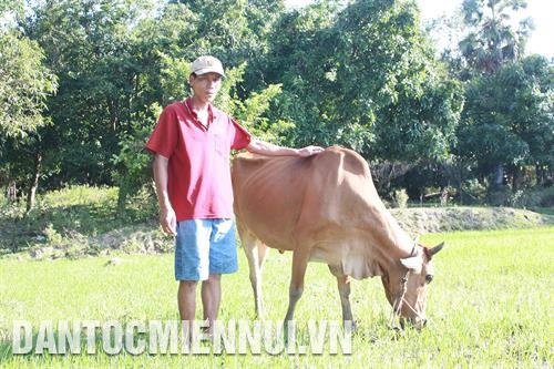 សាខាបក្សទាំងអស់ចំណុះបក្ខភាគឃុំ ថូសឺន ស្រុក ហនដឹត តែងតែប្រជុំដើម្បីដឹកនាំចង្អុលបង្ហាញនិងណែនាំការដំណើរការអនុវត្តពីផែនការអភិវឌ្ឍន៍សេដ្ឋកិច្ច - សង្គមនៅលើភូមិសាស្រ្តជារឿយៗ