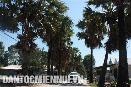 បក្ខជនជាជនជាតិ ខ្មែរ នៅឃុំ ថូសឺន បានពងី្រកយ៉ាងល្អនូវតួនាទីគំរូ អនុវត្តយ៉ាងសកម្មរបៀបរស់នៅប្រកបដោយអរិយធម៌ រួមចំណែកកសាងភូមិបៃតងស្រងាត់-ស្អាត-ស្រស់បំព្រង