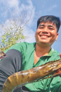 បង្កងចិញ្ចឹមបណ្តោយតាមធម្មជាតិសម្រេចបានគុណភាពល្អនៅភូមិ ៦ ឃុំ លឿងងៀ