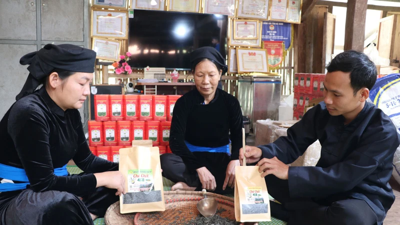 បច្ចុប្បន្នសហការណ៍បង្កើតការងារធ្វើលំនឹងជូនពលករជិត ១៥ នាក់នៅក្នុងមូលដ្ឋាន ប្រាក់ចំណូលរបស់មាមីង​បងប្អូនកាន់តែកើនឡើងពីមួយថ្ងៃទៅមួយថ្ងៃ។ រូបថត៖ ឌឹក ថ