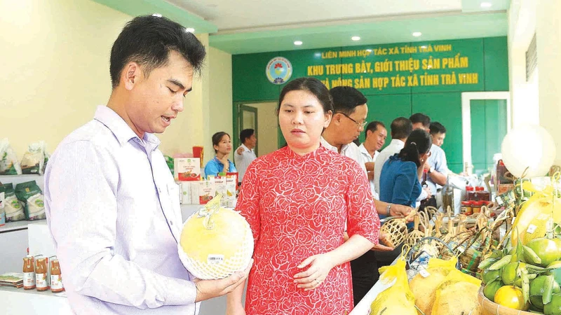 អតិថិជនស្វែងយល់ផលិតផល OCOP ទាំងឡាយនៅហាងដាក់តាំងបង្ហាញ ឧទ្ទេសនាមផលិតផល OCOP និងកសិផល សហករណ៍ខេត្ត ត្រាវិញ