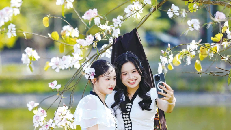 យុវនារីក្នុងឈុតសម្លៀកបំពាក់ជនជាតិ ថៃ ថតរូបនៅក្រោមមែកផ្កាជើងគោ នៅសង្កាត់ ដៀនបៀនភូ ខេត្ត ដៀនបៀន។