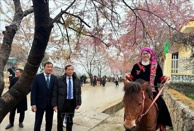 ភ្ញៀវទេសចរជិះសេះកម្សាន្តទេសភាពនៅក្នុងឃុំ លុងគូ ខេត្ត ត្វៀនក្វាង។ រូបថត៖ ទីភ្នាក់ងារព័ត៌មានវៀតណាម ផ្សាយ។