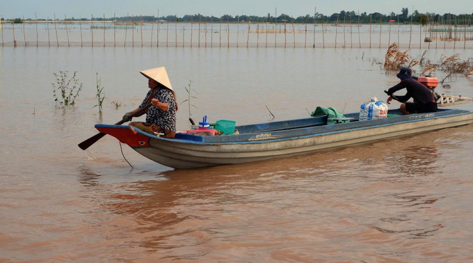 ca-linh-2.jpg