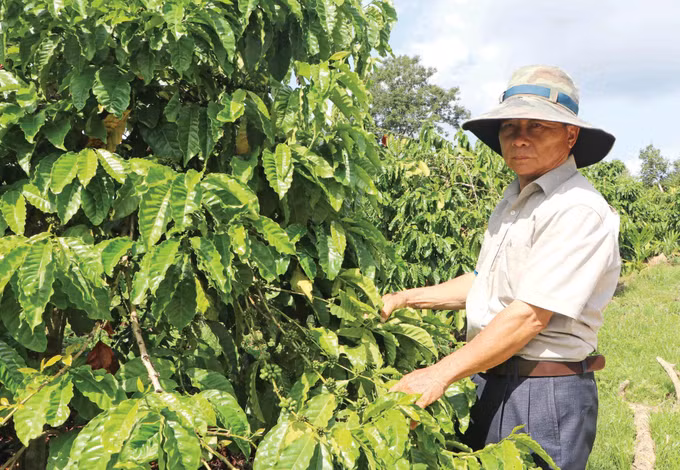 cuu-chien-binh-5.jpg