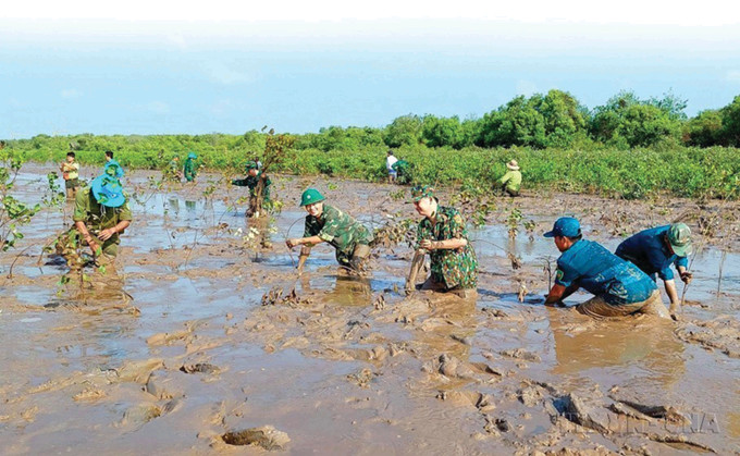ប៉ុស្តិ៍ការពារព្រំដែន វិញហាយ សហការជាមួយនឹងអង្គភាពទាំងឡាយដាំក្បាញចំនួន ១.០០០ ដើមនៅតំបន់ជាប់មាត់សមុទ្រចំណុះភូមិ ត្រាសេត ឃុំ វិញហាយ ទីរួមខេត្ត វិញចូវ ខេត្ត សុកត្រាំង bo-doi-6.jpg