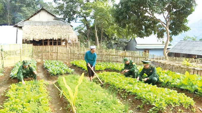 កងទ័ពការពារព្រំដែន ថាញ់ហ្វា ណែនាំប្រជាជនដាំបន្លែបង្ការនៅឃុំ មឿងឡាត nhan-rong-mo-hinh-ban-sang-vung-bien-2.jpg