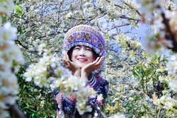 ផ្កាផ្លាំរីកស្គុសស្គាយទាក់ទាញភ្ញៀវទេសចរអញ្ជើញមកតំបន់ភ្នំ ពុងលួង