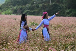 រដូវផ្កាក្រើនរំលឹកឲ្យបោះជំហានទៅកាន់ចុងប៉ូចភាគខាងជើងមាតុភូមិ