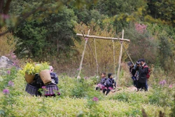 ប៉ុន្មានថ្ងៃដើមឆ្នាំ តំបន់ភ្នំ មូកាងចាយ ទាក់ទាញភ្ញៀវទេសចរអញ្ជើញមកទស្សនា និងថតរូប ជាច្រើន។