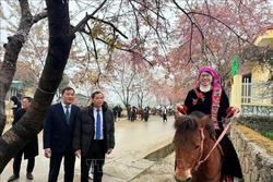 ភ្ញៀវទេសចរជិះសេះកម្សាន្តទេសភាពនៅក្នុងឃុំ លុងគូ ខេត្ត ត្វៀនក្វាង។ រូបថត៖ ទីភ្នាក់ងារព័ត៌មានវៀតណាម ផ្សាយ។