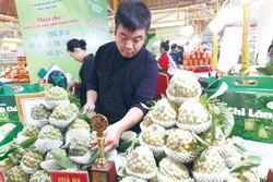 ទៀប ឡាងសឺន ត្រូវបានឧទ្ទេសនាមក្នុងសម័យប្រជុំផ្សារណាត់កសិផលផលិតផលពិសេសប្រចាំតំបន់ភូមិភាគ - សប្តាហ៍ផ្សព្វផ្សាយទៀប កសិផលពិសេសប្រចាំតំបន់ខេត្ត ឡាងសឺន។