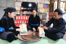 បច្ចុប្បន្នសហការណ៍បង្កើតការងារធ្វើលំនឹងជូនពលករជិត ១៥ នាក់នៅក្នុងមូលដ្ឋាន ប្រាក់ចំណូលរបស់មាមីង​បងប្អូនកាន់តែកើនឡើងពីមួយថ្ងៃទៅមួយថ្ងៃ។ រូបថត៖ ឌឹក ថ