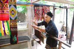 ចាប់តាំងពីឆ្នាំ ២០១០ មកម៉្លេះ អ្នកស្រី យុង បានប្រមូលផ្តុំ និងឃ្មាតខ្មីត្បាញ ប៉ាក់សម្លៀកបំពាក់ប្រពៃណី​របស់​នារីជនជាតិ អ៊ើឌូ។