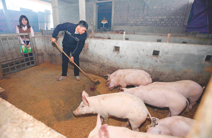 3-chinh sach uu dai-a luoi-tran viet.jpg