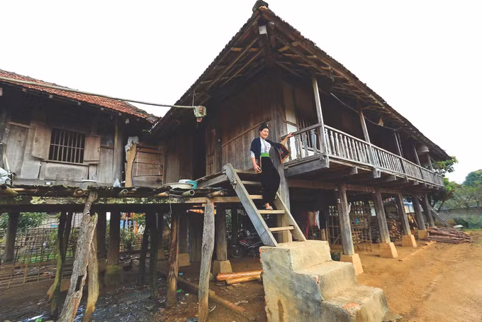 5-ban Che Can-Phan Tuan Anh.jpg