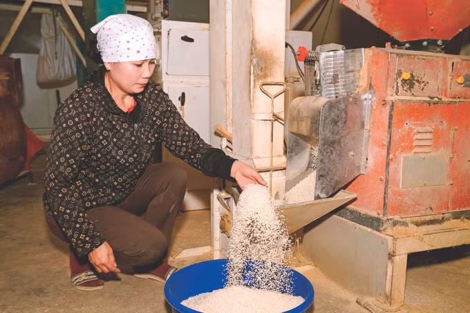 10-gao dien bien-huong hien.jpg