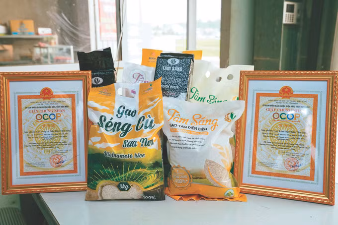 11-gao dien bien-ocop 3 sao-hoang tam.jpg