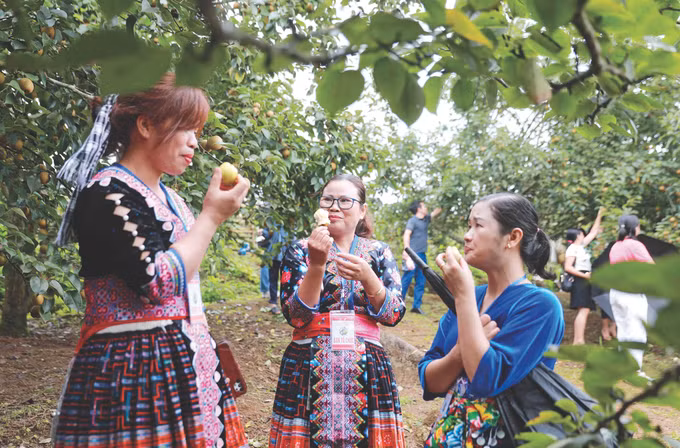 7-ngay hoi le-lai chau-quy trung.jpg