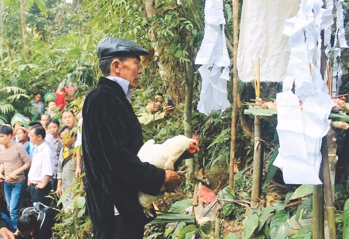 1-tet rung Na Hau-ttxvn phat.jpg