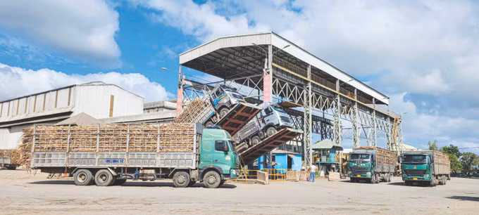 3-nguoi bahnar trong mia-hoai nam.jpg