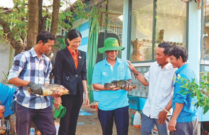 ចិញ្ចឹមជលផលក្រោមម្លប់ឈើព្រៃជួយប្រជាជនជាប់មាត់សមុទ្រជាច្រើនក្រុមគ្រួសារនៅស្រុក ហនដឹត ក្លាយជាធូរធារ ផ្ទះសំបែងធំទូលាយជាងមុន Phat trien kinh te gan bao ve rung o Kien Giang 8.jpg