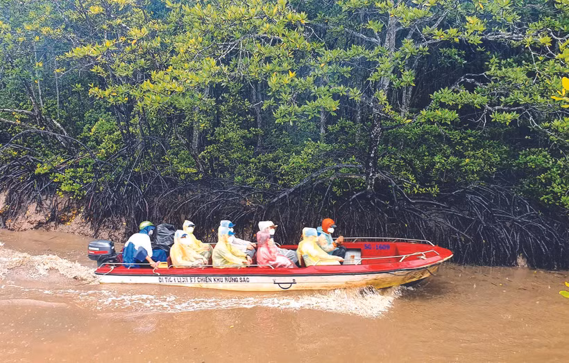 អញ្ជើញចូលរួមកម្មវិធី "កឹនយើ - ធម្មជាតិស្រស់បំព្រង" ភ្ញៀវទេសចរបានឆ្លងកាត់បទពិសោធន៍ផលិតផលទេសចរណ៍ដ៏ល្អឯកជាច្រើនដូចជាទស្សនាកោះស្វា ស្ទូចសត្វក្រពើ ស្វែងយល់ ស្លុងអារម្មណ៍ជាមួយនឹងទេសភាពធម្មជាតិព្រៃរនាមទឹកប្រៃដោយមានប្រព័ន្ធអេកូឡូស៊ីដ៏ល្អឯកពិពិធភាព