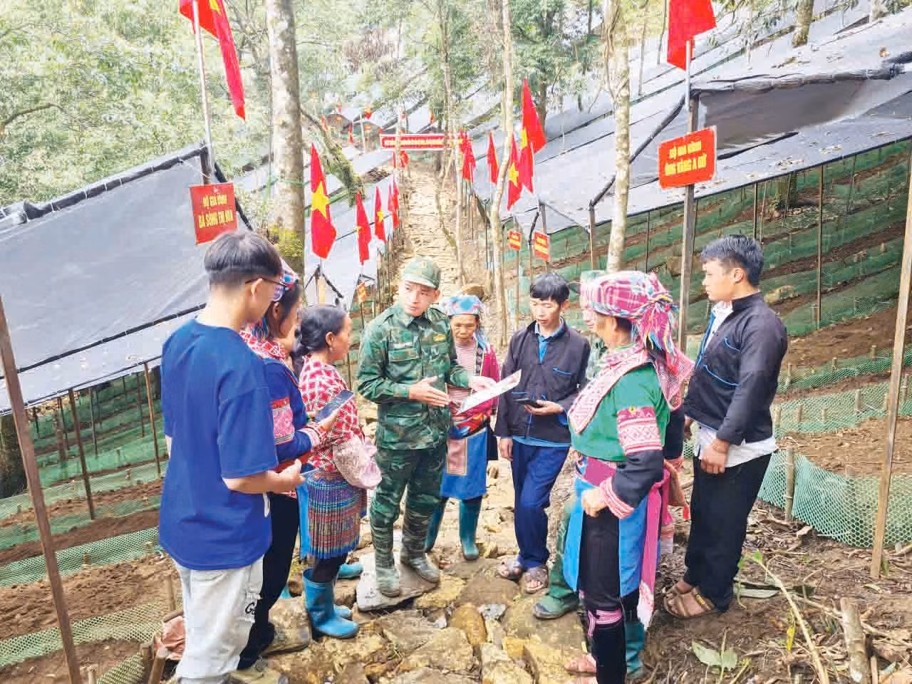 chien-si-so-7714.jpg