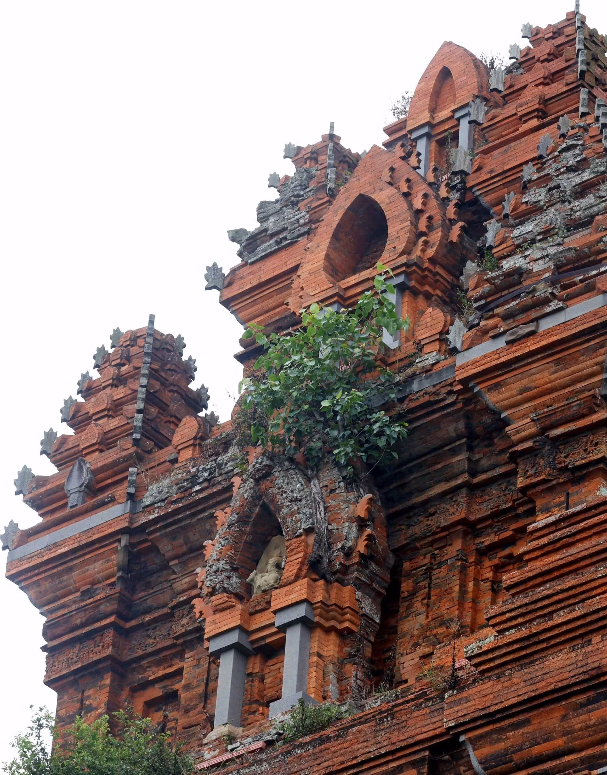 cham-6.jpg