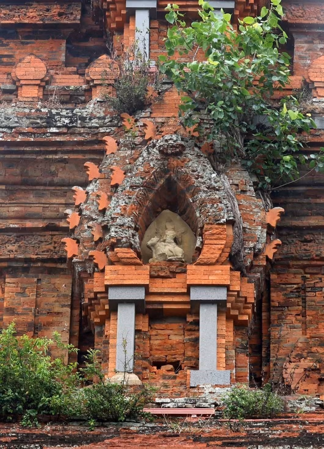 cham-8.jpg