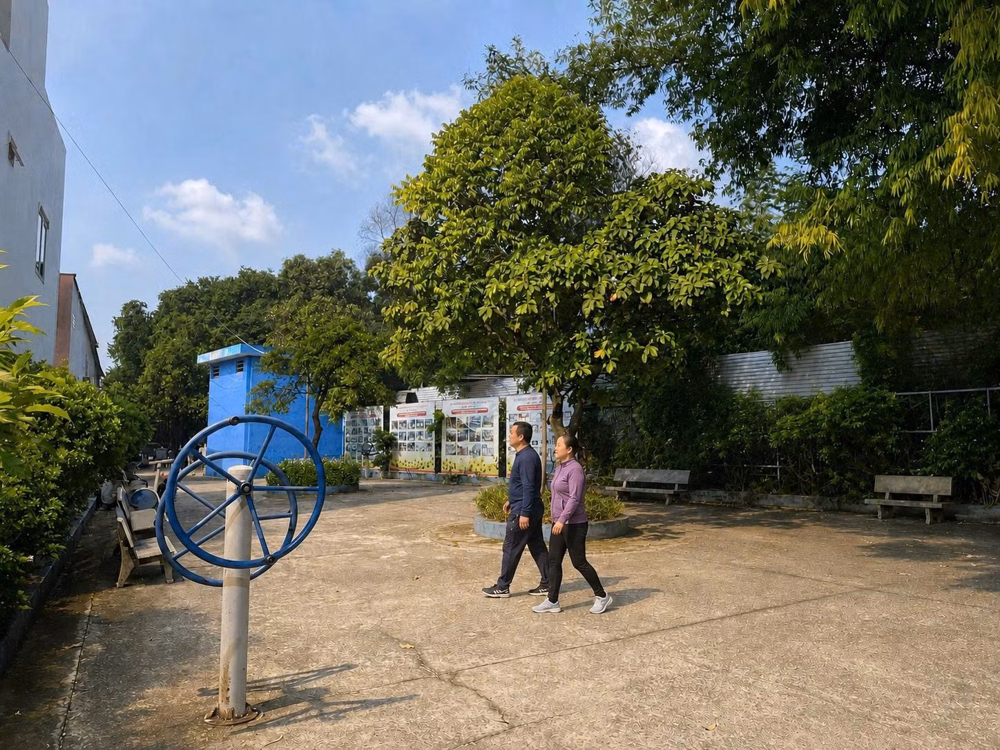 02-diboquan9.jpg