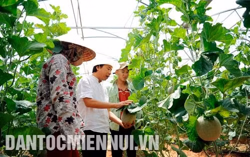 សហគ្រាសជាច្រើនហ៊ានវិនិយោគលើបណ្ដាទម្រង់រូបភាពកសិកម្មអនុវត្តបច្ចេកវិទ្យាខ្ពស់លើតំបន់ដីវាលរហោឋានដ៏ហួតហែងពោរពេញទៅដោយកម្តៅថ្ងៃនិងខ្យល់