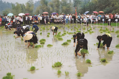 នាឱកាសរដូវផ្ការីក ទិវានៃពិធីចុះពូជរបស់ជនជាតិ តៃ ទាក់ទាញភ្ញៀវទេសចរណ៍ ច្រើនកុះករមកកាន់ ឌិញហ្វា នាឱកាសរដូវផ្ការីក ទិវានៃពិធីចុះពូជរបស់ជនជាតិ តៃ ទាក់ទាញភ្ញៀវទេសចរណ៍ ច្រើនកុះករមកកាន់ ឌិញហ្វា