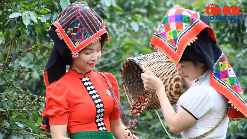 រួមបញ្ចូលកម្មវិធីគោលដៅជាតិទាំង ៣៖ ជំហានផ្លាស់ប្តូរយ៉ាងជាក់ច្បាស់ក្នុងគំនិតបង្កើតច្បាប់
